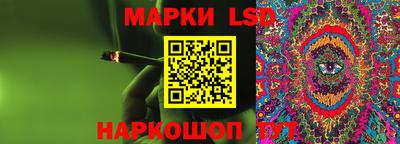 сатива Краснодар