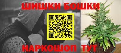 сатива Краснодар